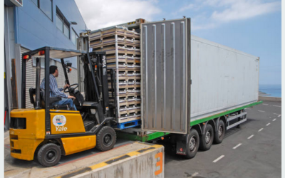 Specialized Logistics for Secure Transportation